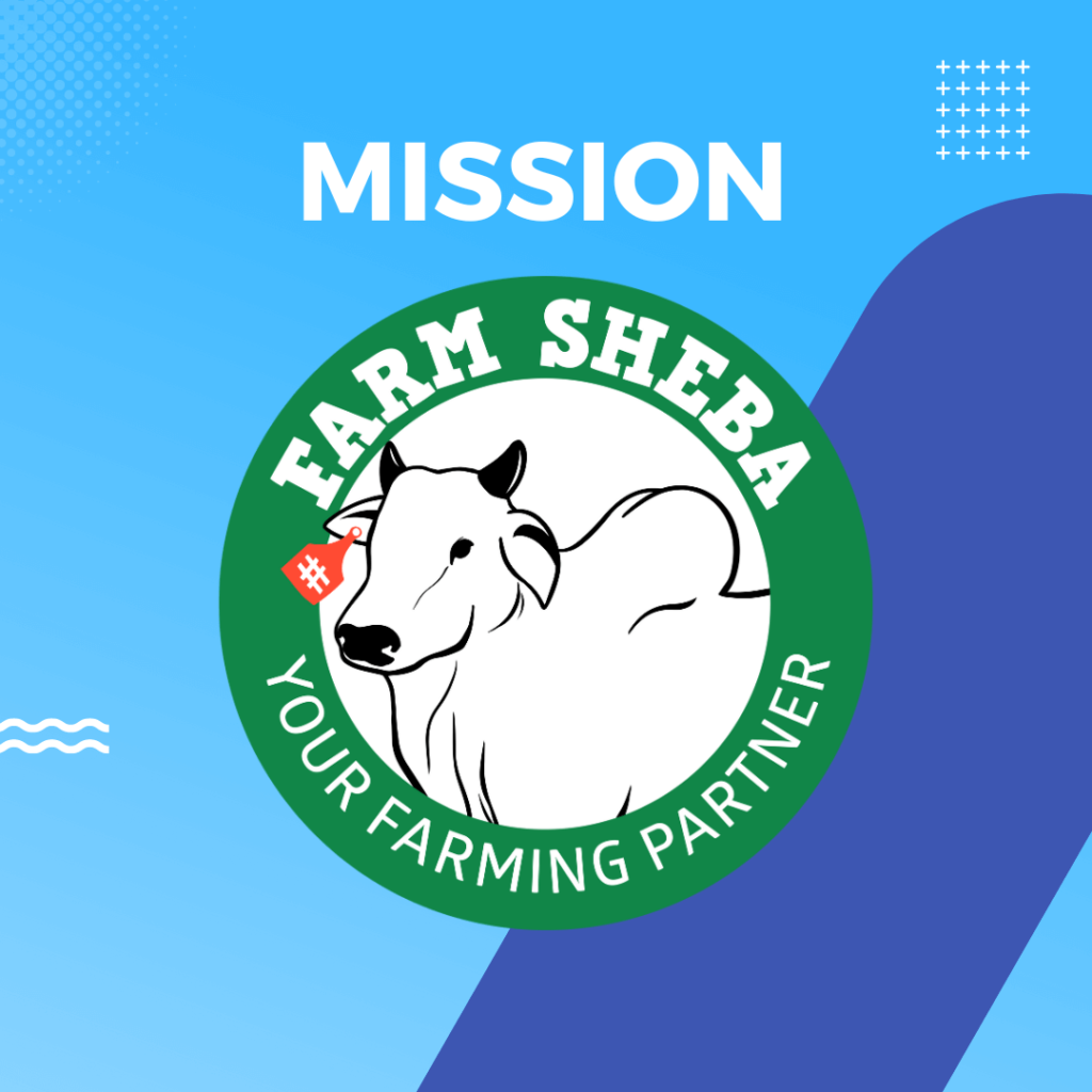 Mission And Philosophy​ of Farm Seba