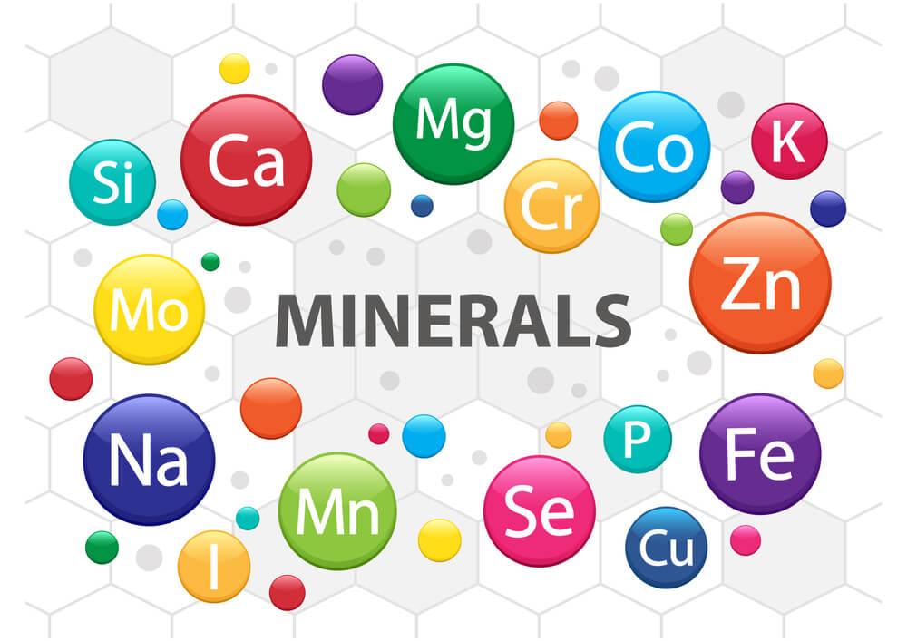 Mineral Requirements of Cattle